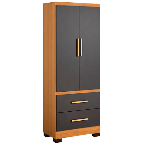 Ropero 2 Puertas 2 Cajones