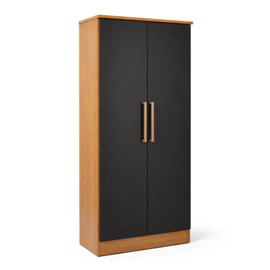 Botinero 2 Puertas