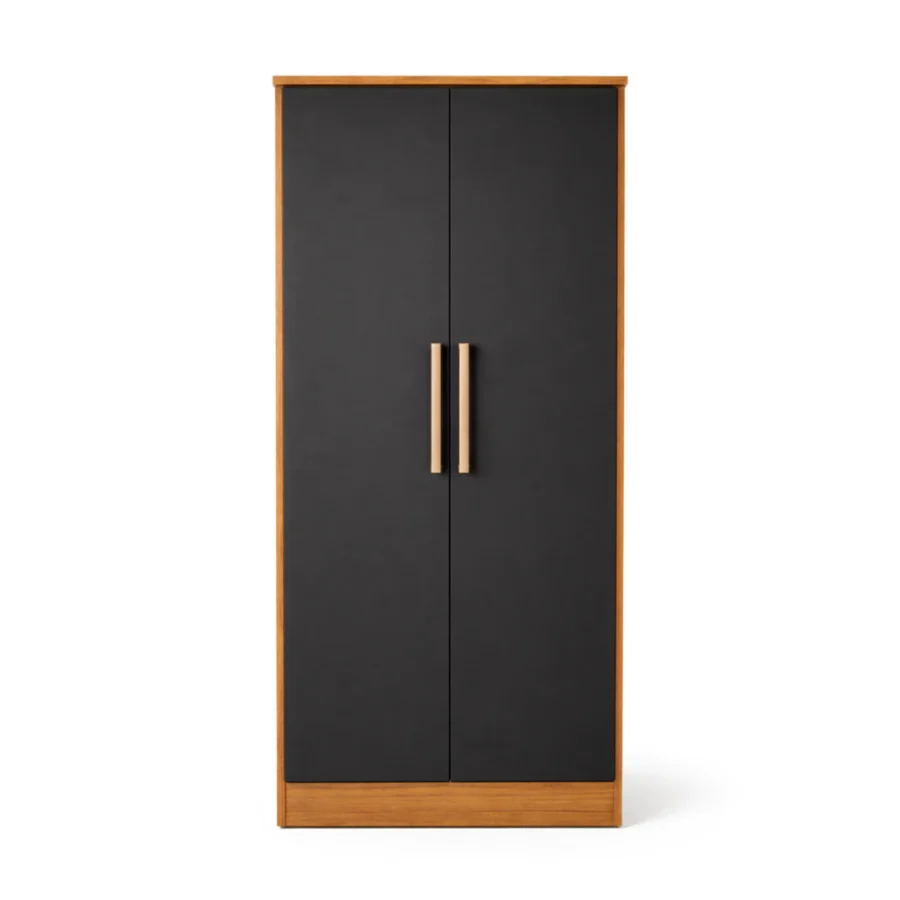 Botinero 2 Puertas